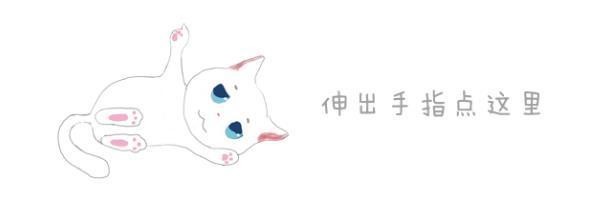 猫趁铲屎官离开，竟下水捞金鱼，鱼：我以为再也见不到主人了