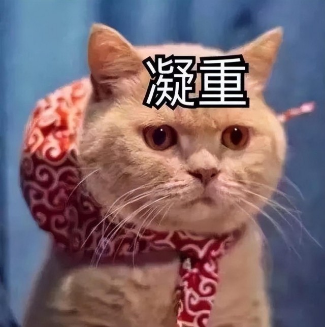 猫“养不熟”，这些表现，十分明显！